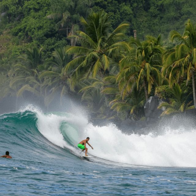 shaper roney ribeiro prancha de surf - 5